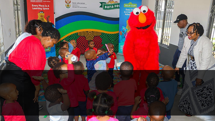 Support for ECD